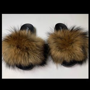 Raccoon brown fur
